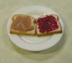 Peanut Butter and Jelly Sandwich